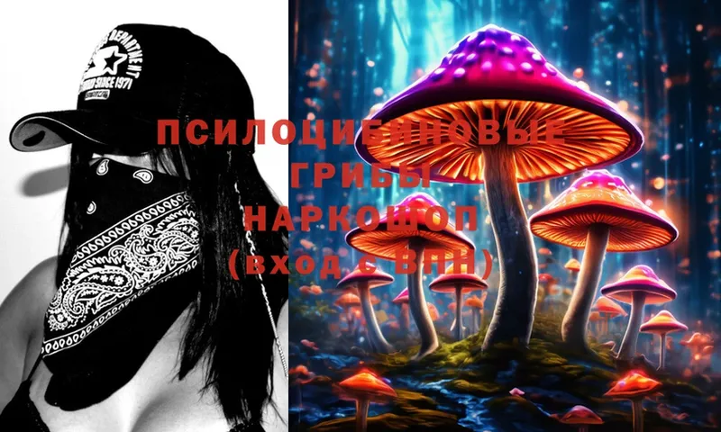 blacksprut рабочий сайт  Анапа  Псилоцибиновые грибы MAGIC MUSHROOMS 